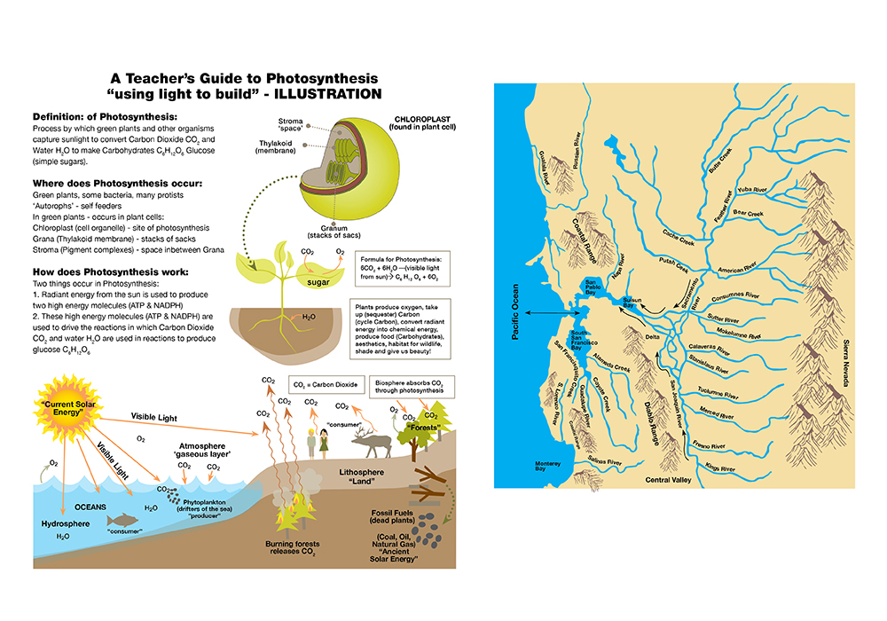 Basement3Design Sabine Heusler-Schick